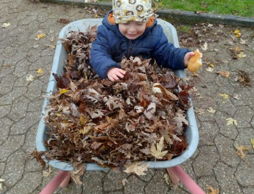 Unser Gartentag im November – Gemeinsam für einen schönen Außenbereich
