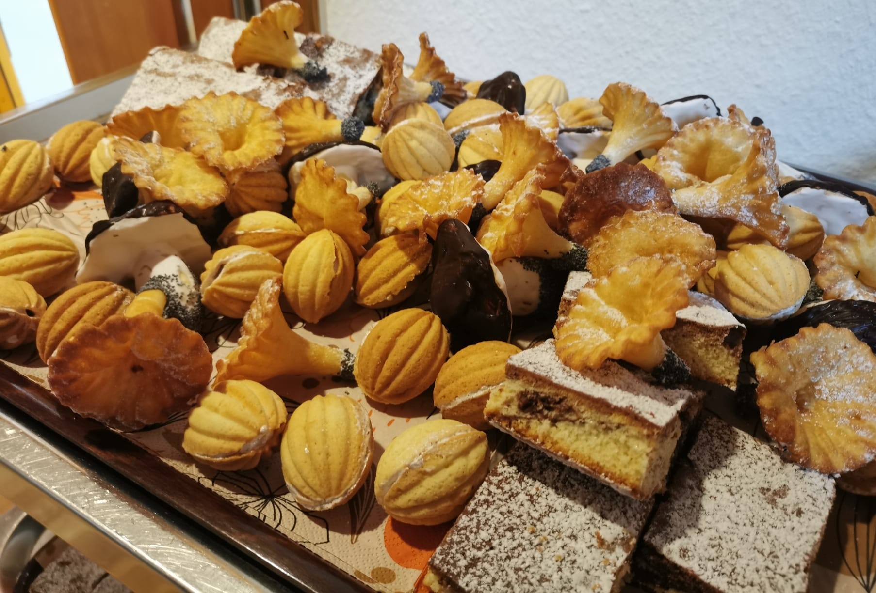 Kita Herkenrath Naturpark Zertifizierung _ Elterncafé
