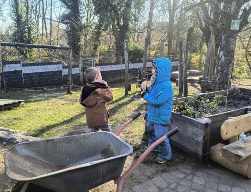 Gartentag am 22.11. – Gemeinsam für einen winterfitten Kita-Garten