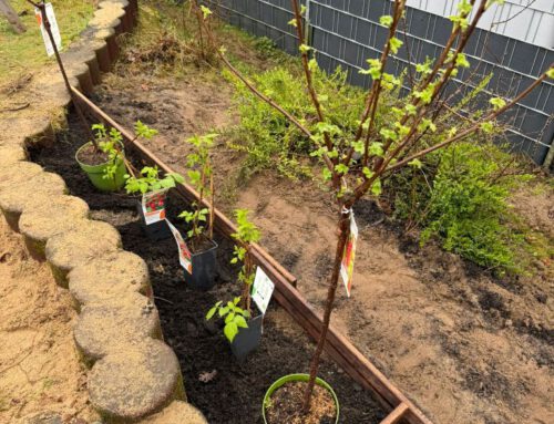 Rückblick: Unser Gartentag in der Kita